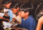 edu_minor1.jpg
